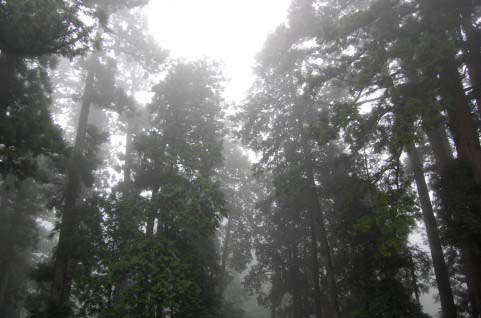 %e5%86%99%e7%9c%9f%e2%91%a2