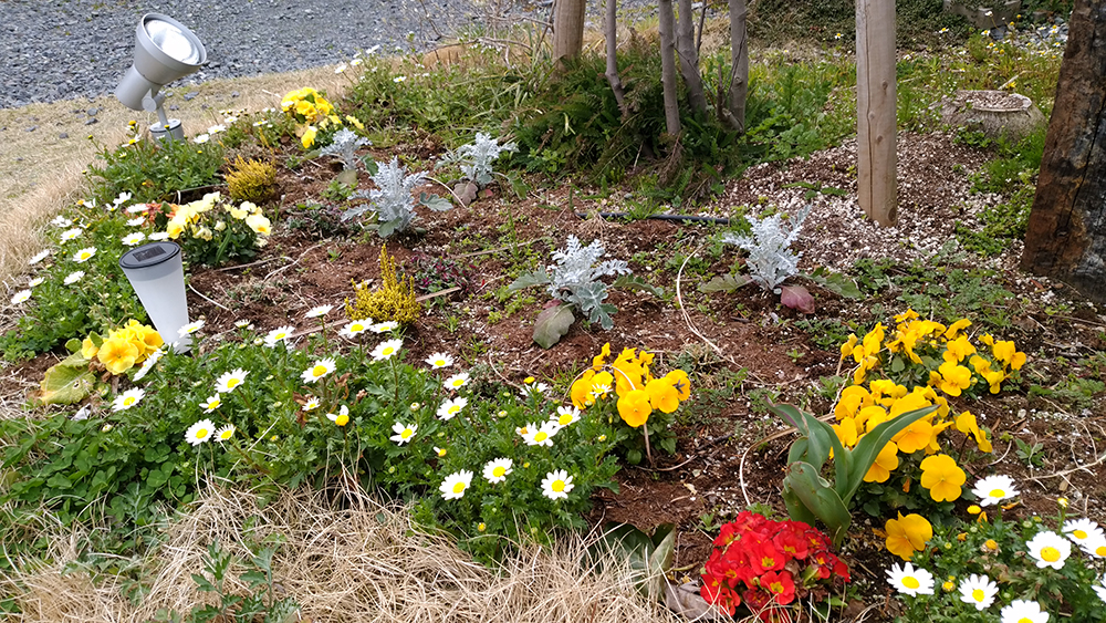 IMG_20170324_135432h