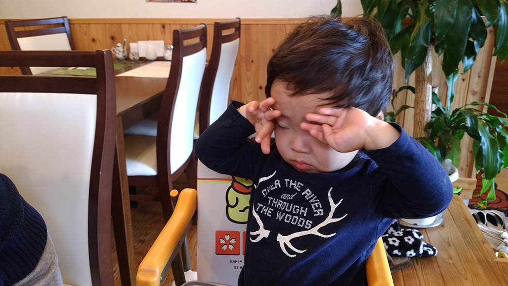 IMG_20170405_131416h